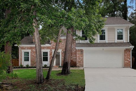 3 MEADOW BEAUTY The Woodlands TX 77381