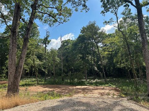11357 Annie Creek Drive Willis TX 77378