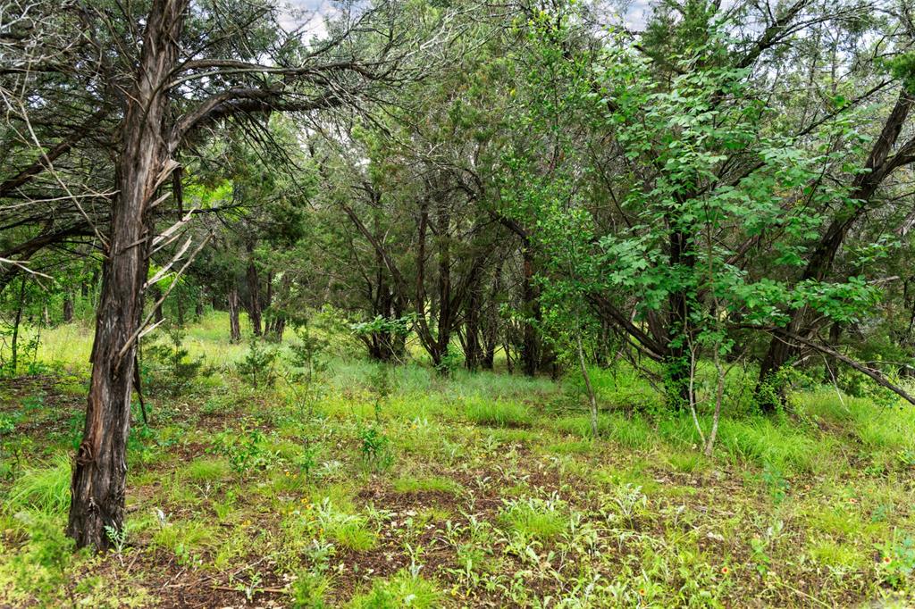 8012 Scotscraig Drive, Cleburne, Texas image 17