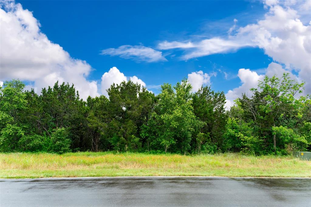 8012 Scotscraig Drive, Cleburne, Texas image 10
