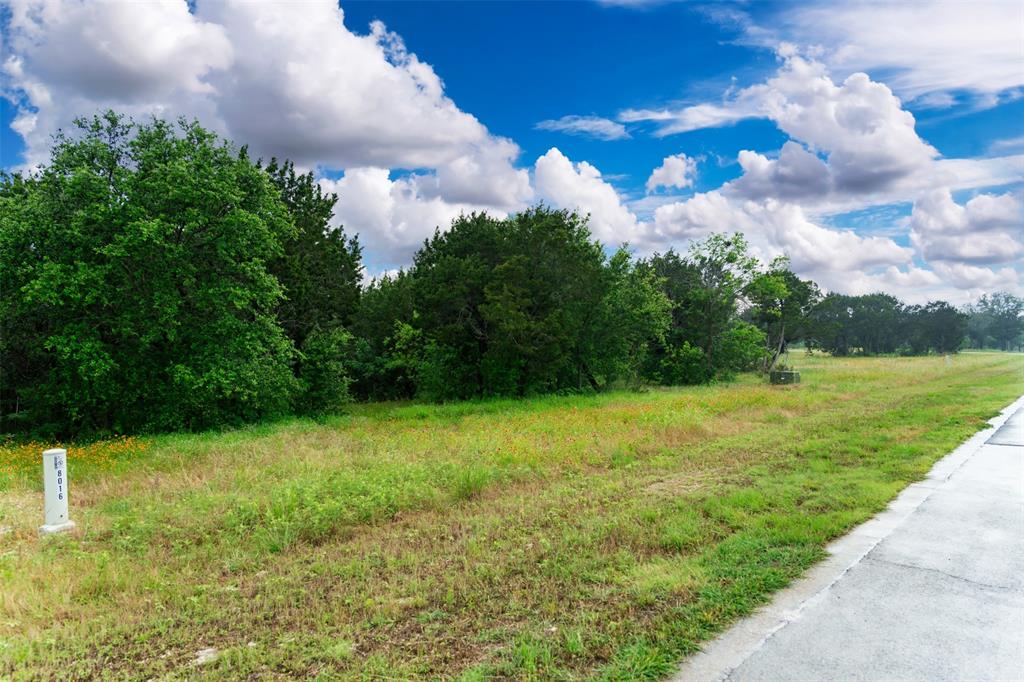 8012 Scotscraig Drive, Cleburne, Texas image 12