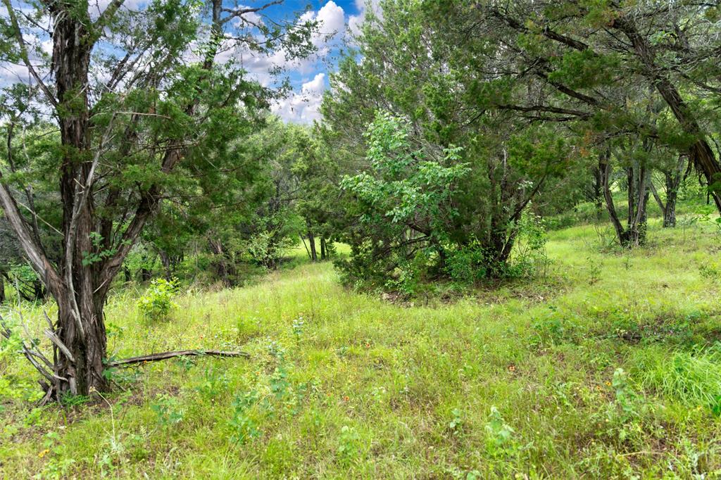 8012 Scotscraig Drive, Cleburne, Texas image 18