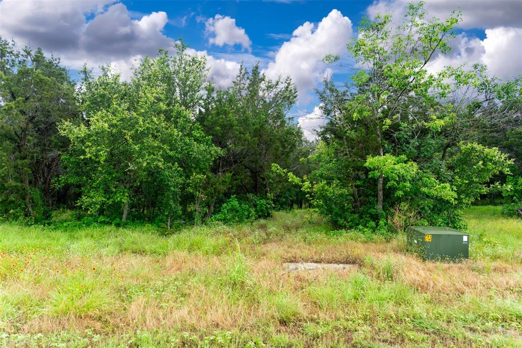 8012 Scotscraig Drive, Cleburne, Texas image 16