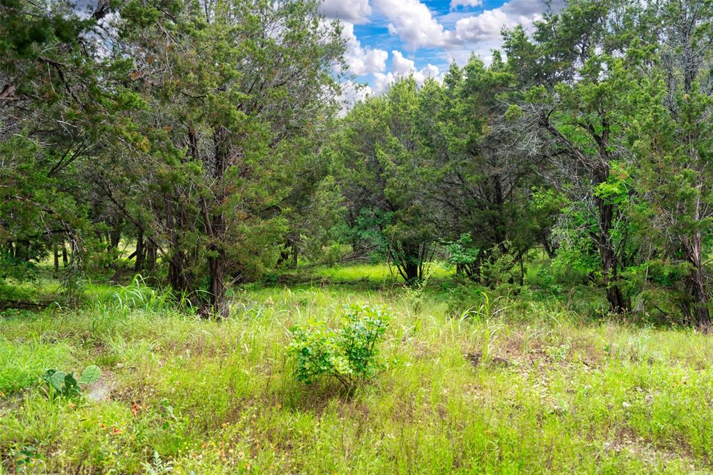 8012 Scotscraig Drive, Cleburne, Texas image 19