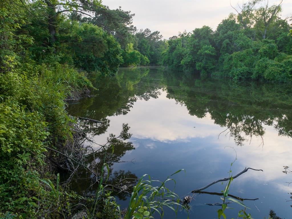 199 Fishermans Trail Trl, Huntsville, Texas image 9