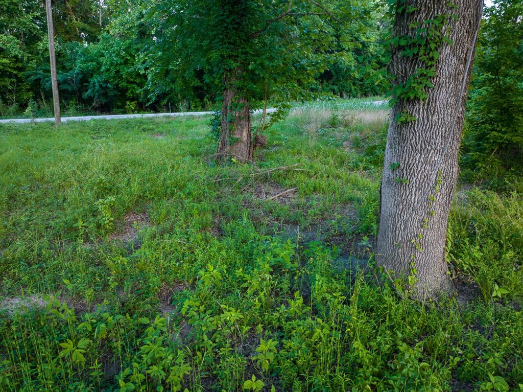 199 Fishermans Trail Trl, Huntsville, Texas image 8