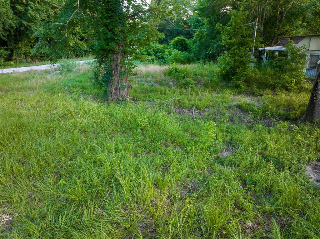 199 Fishermans Trail Trl, Huntsville, Texas image 6