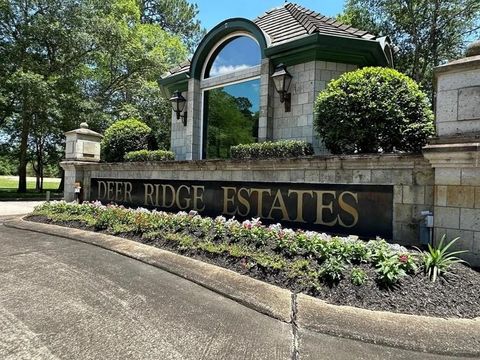 14 Pallavi Woods Drive Houston TX 77339