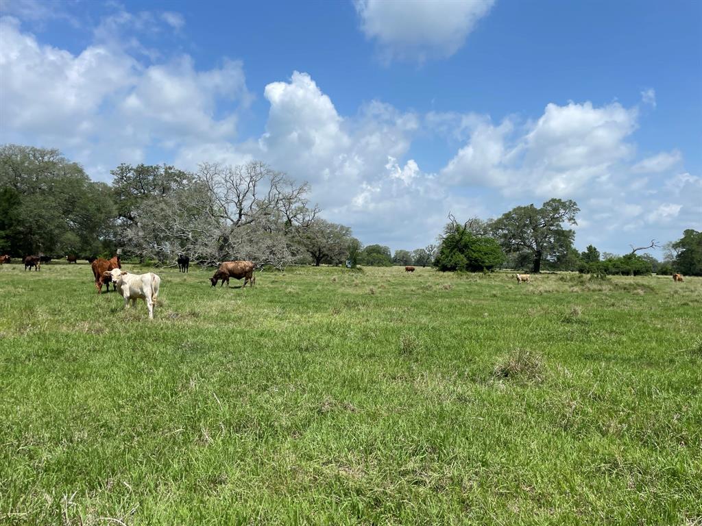 01 Pompano Dr, Gilchrist, Texas image 1
