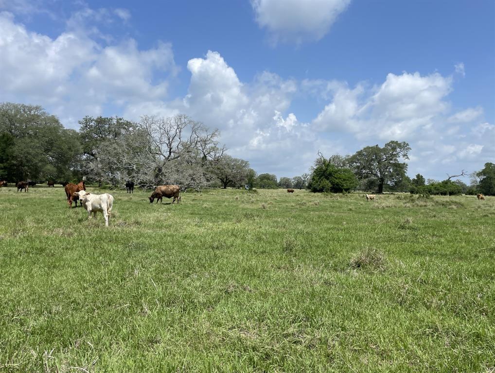 01 Pompano Dr, Gilchrist, Texas image 3
