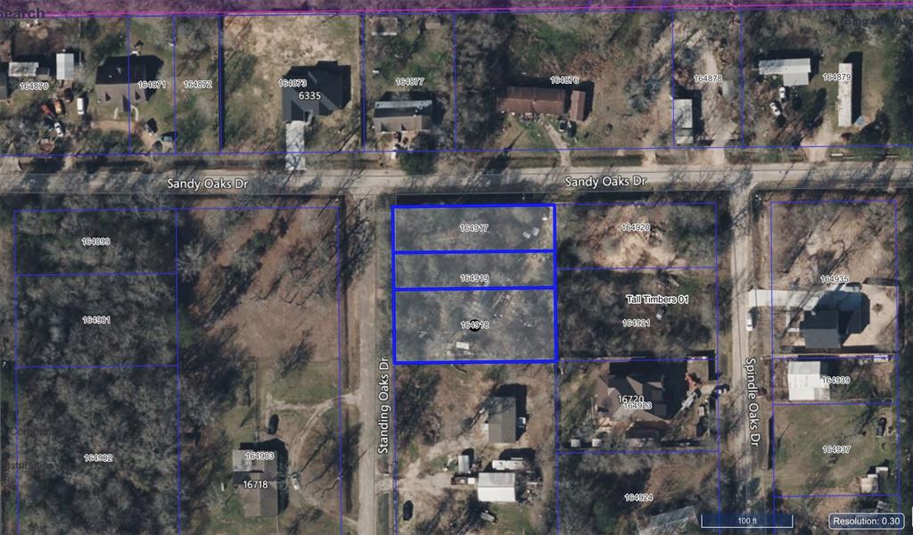 Standing Oaks Drive, Conroe, Texas image 1