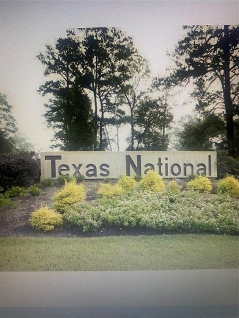 00 Texas National Blvd Willis TX 77378