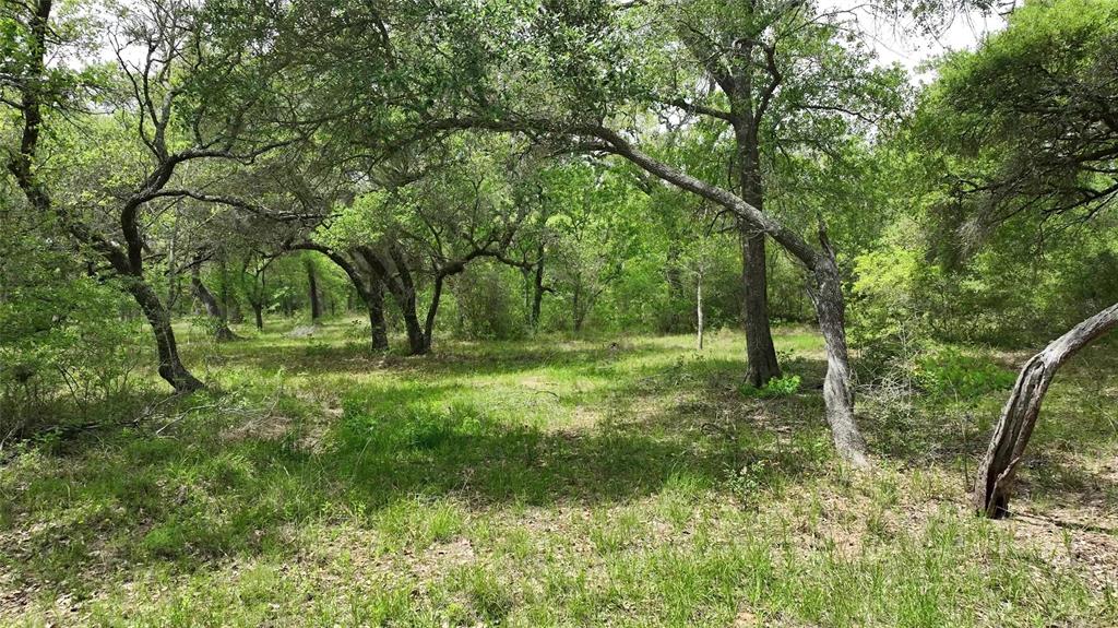 1106 N Cr 255 Street, Sheridan, Texas image 8