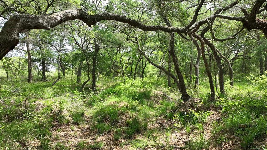 1106 N Cr 255 Street, Sheridan, Texas image 23