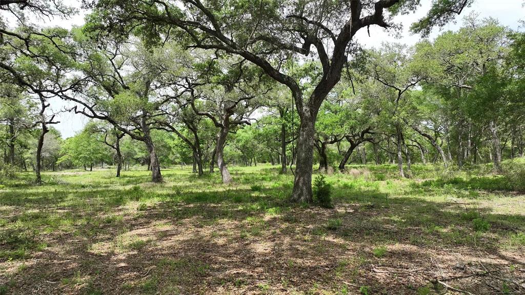 1106 N Cr 255 Street, Sheridan, Texas image 12