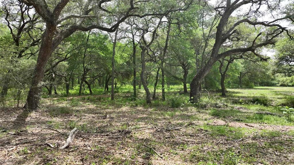 1106 N Cr 255 Street, Sheridan, Texas image 22