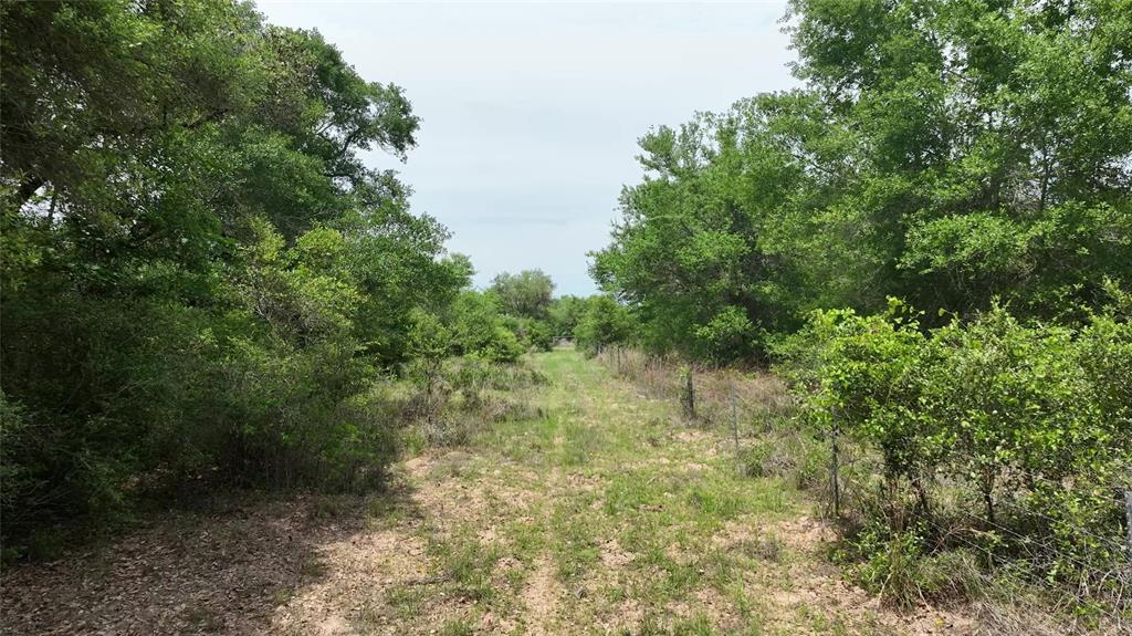 1106 N Cr 255 Street, Sheridan, Texas image 9