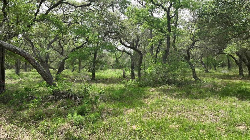 1106 N Cr 255 Street, Sheridan, Texas image 19