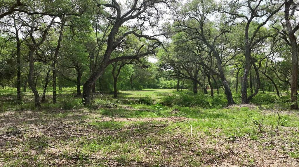 1106 N Cr 255 Street, Sheridan, Texas image 10
