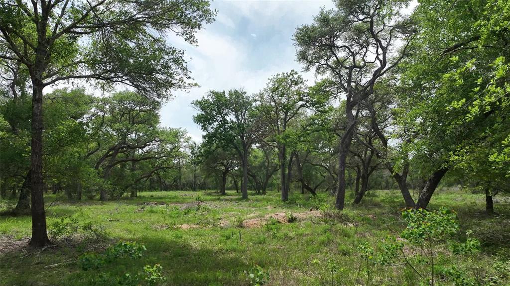 1106 N Cr 255 Street, Sheridan, Texas image 11