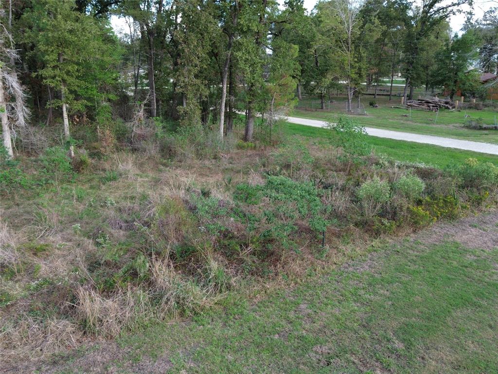 9th St Ninth Street Lot 6, Onalaska, Texas image 9