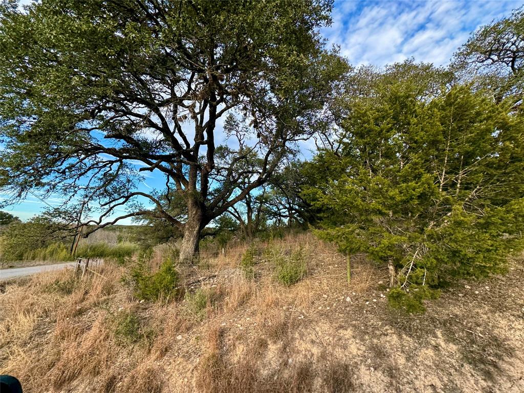 101 Twin Creek Drive, Dripping Springs, Texas image 9