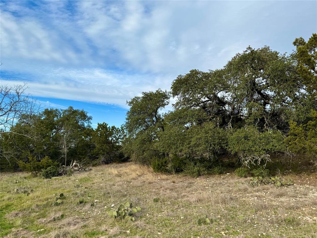 101 Twin Creek Drive, Dripping Springs, Texas image 3