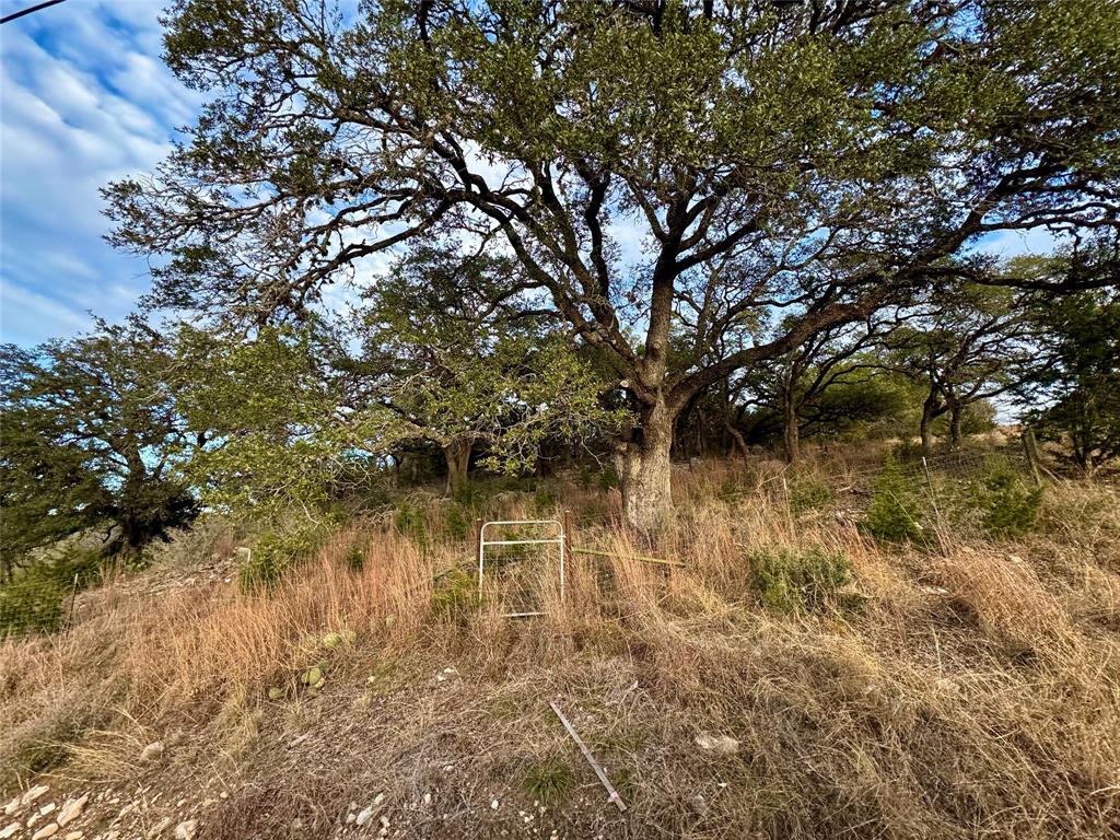 101 Twin Creek Drive, Dripping Springs, Texas image 10