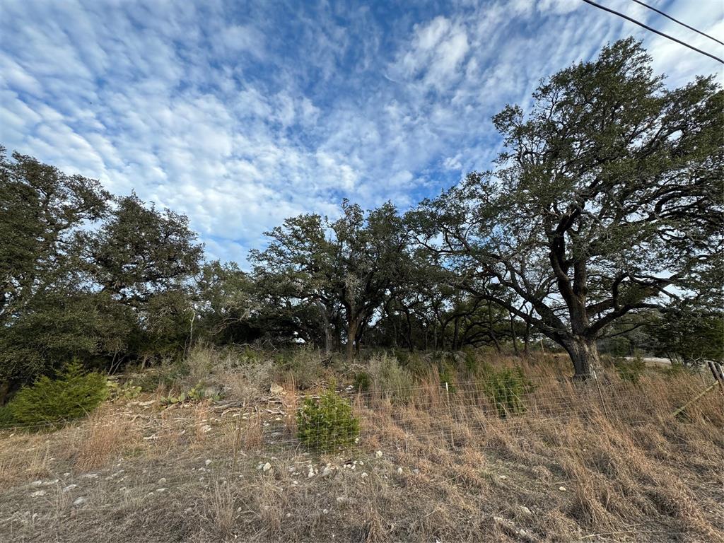 101 Twin Creek Drive, Dripping Springs, Texas image 11