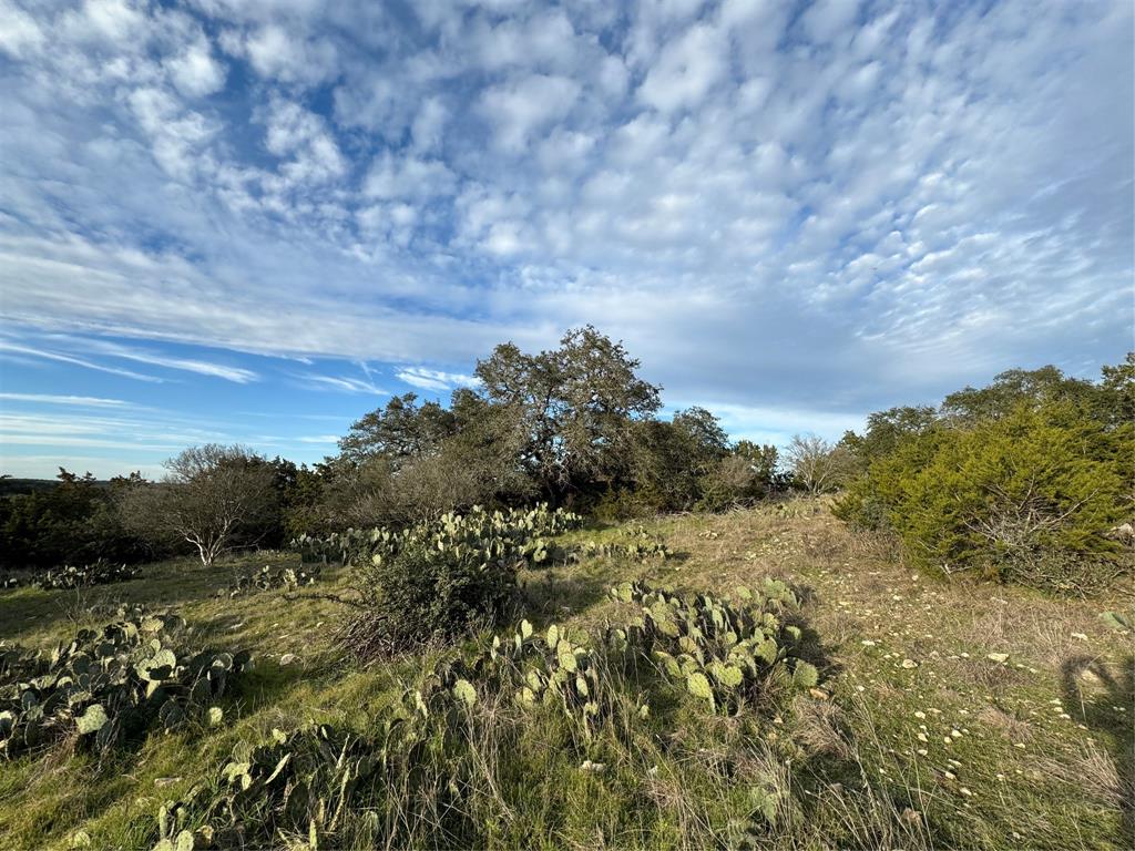 101 Twin Creek Drive, Dripping Springs, Texas image 8