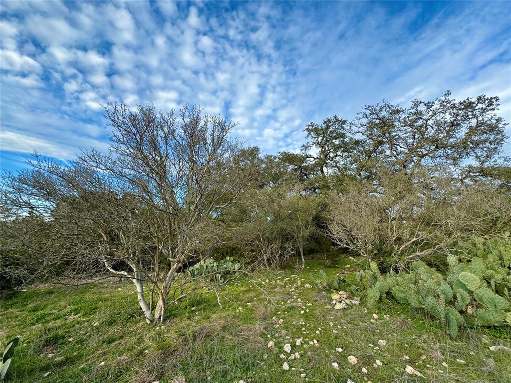 101 Twin Creek Drive, Dripping Springs, Texas image 4