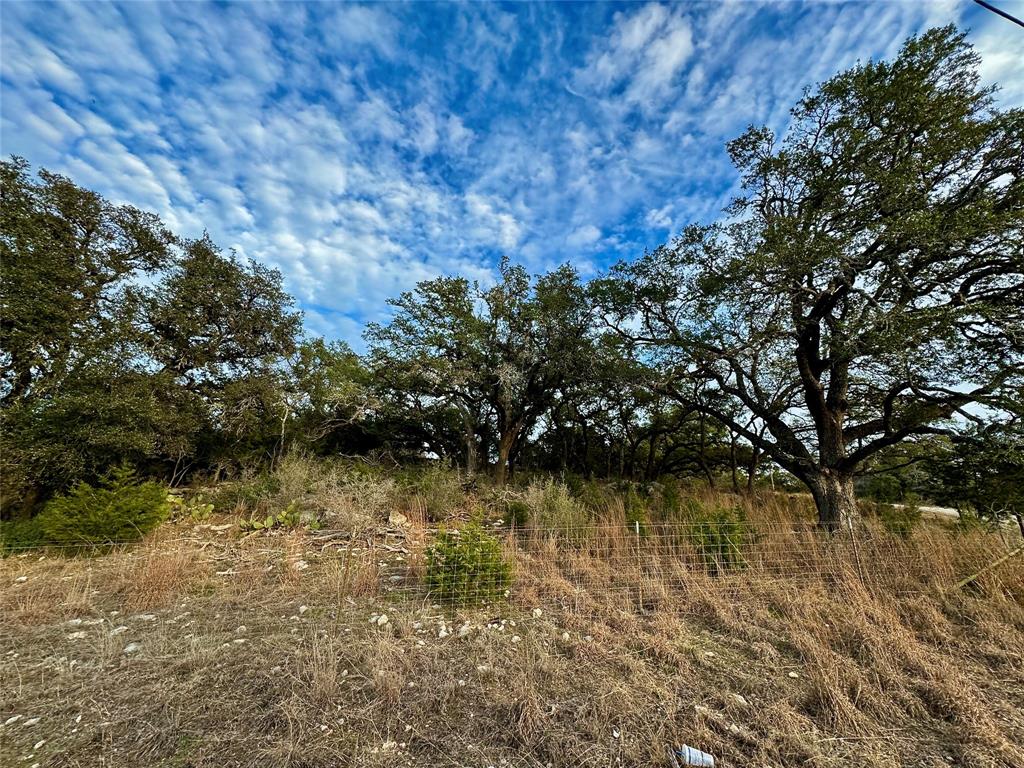 101 Twin Creek Drive, Dripping Springs, Texas image 12