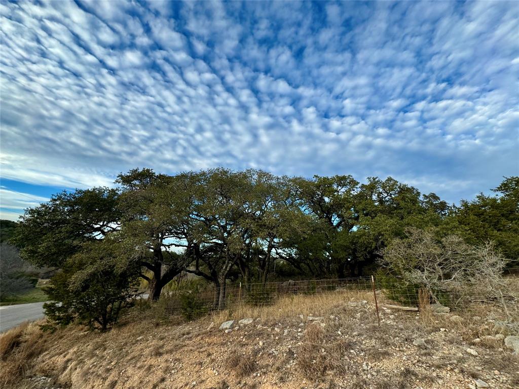 101 Twin Creek Drive, Dripping Springs, Texas image 7