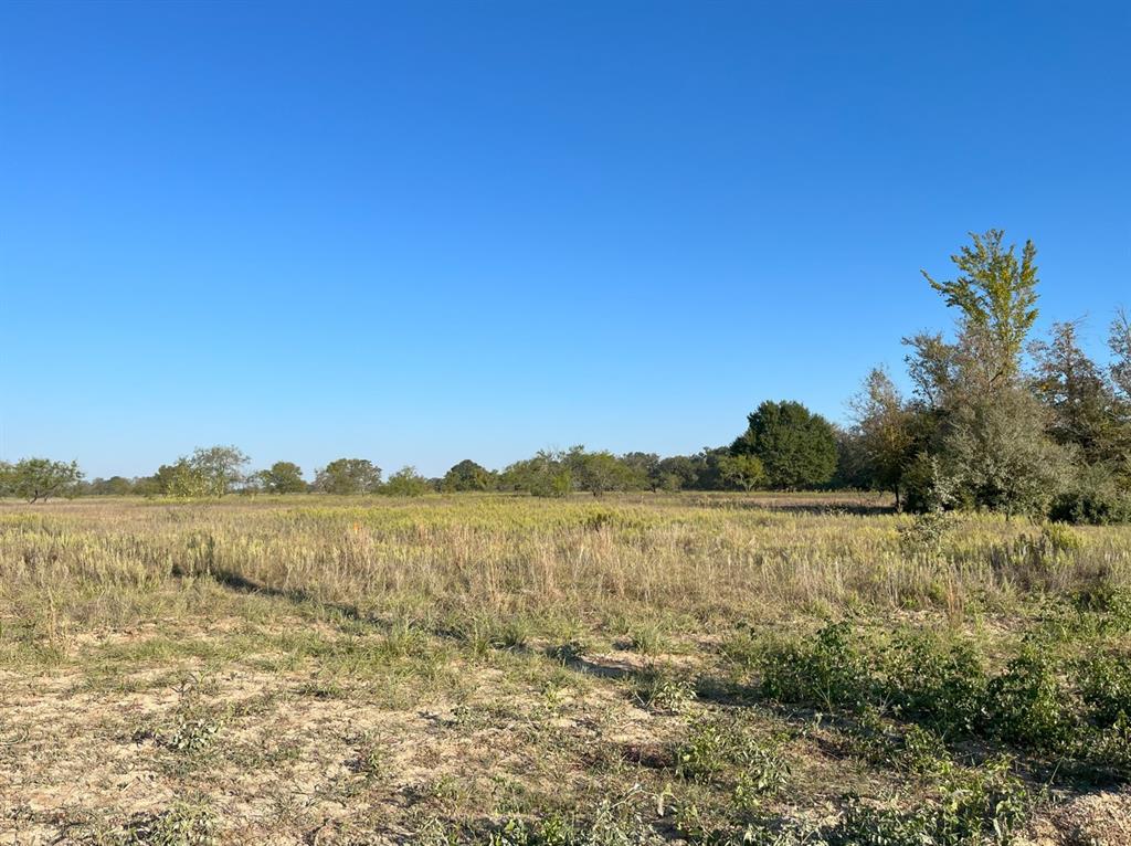 County Road 353, Gause, Texas image 3