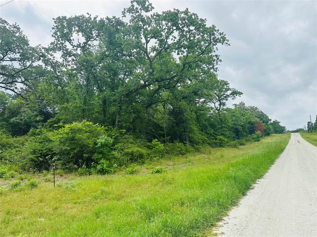 LOT 7 - 3AC County Road 2751, Buffalo, Texas image 7