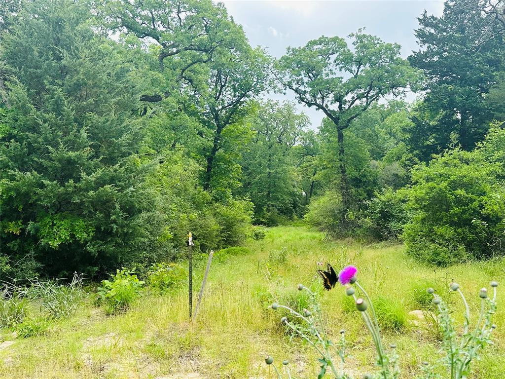 LOT 7 - 3AC County Road 2751, Buffalo, Texas image 1