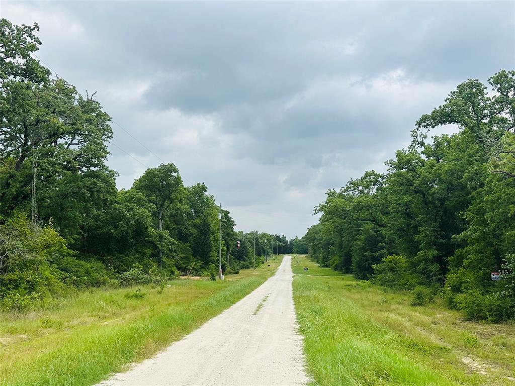 LOT 7 - 3AC County Road 2751, Buffalo, Texas image 2