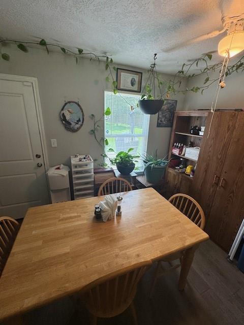 3940 Frontier Road