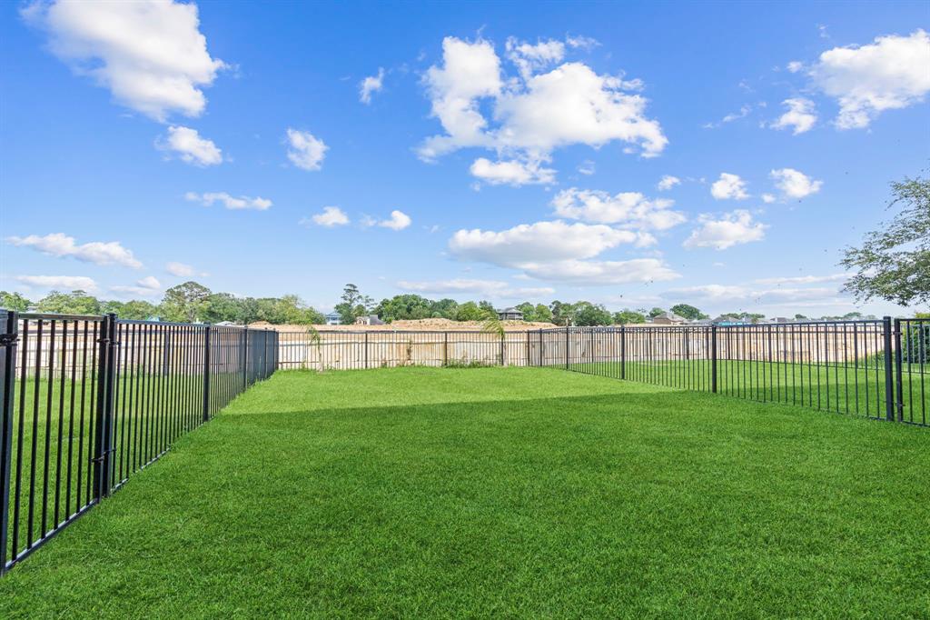1304 Veranda Mist, League City, Texas image 45