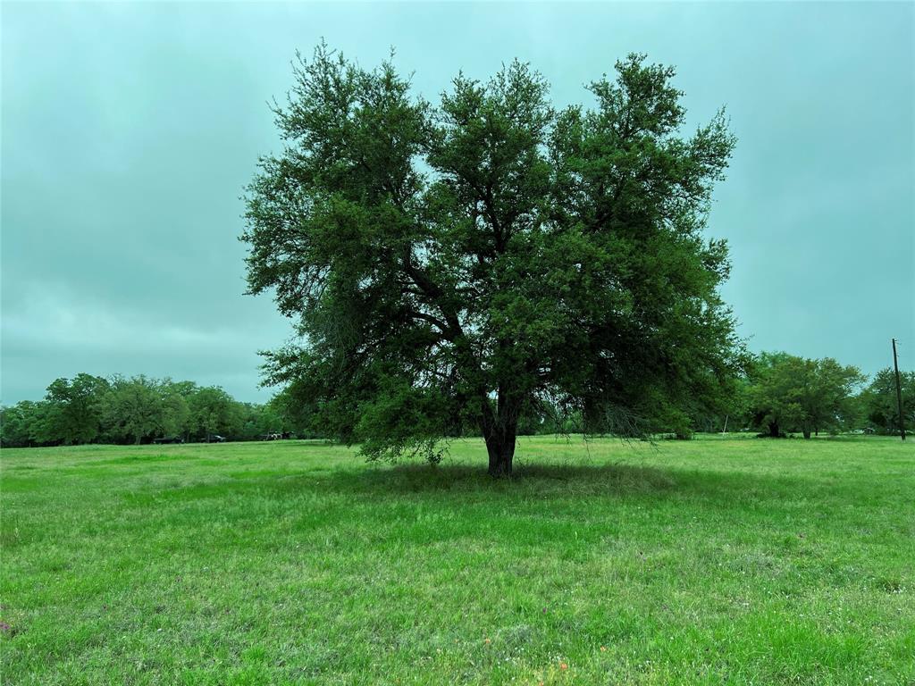 Lot 3 Pvt 1671, Hallettsville, Texas image 2