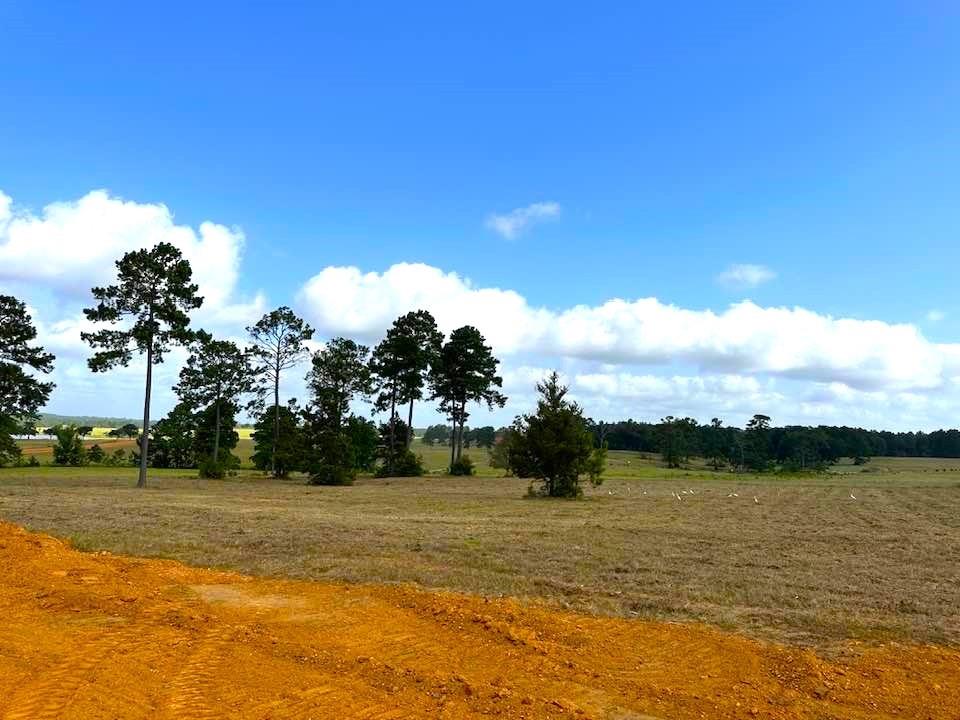 TBD Lakeland Loop Lot 85, Hillister, Texas image 4