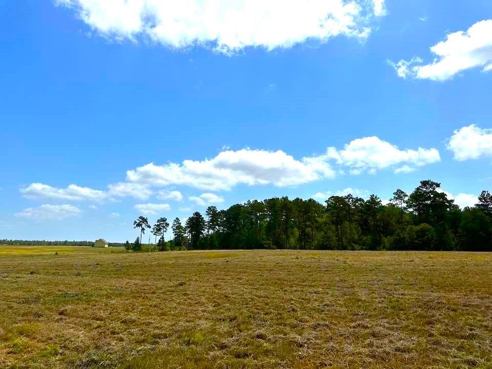 TBD Lakeland Loop Lot 85, Hillister, Texas image 9