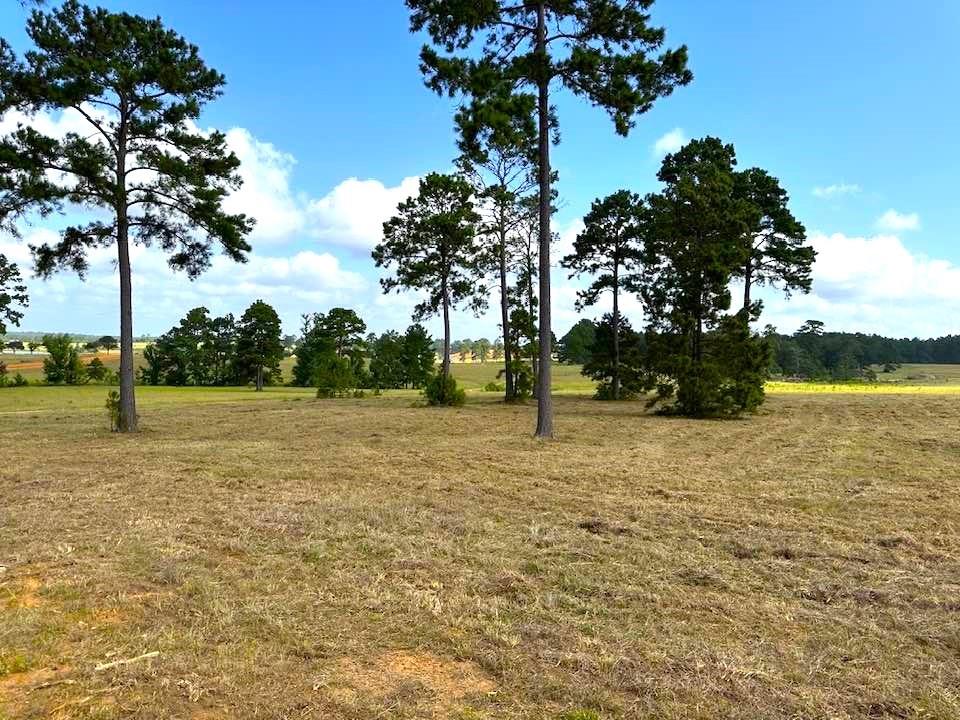 TBD Lakeland Loop Lot 85, Hillister, Texas image 7