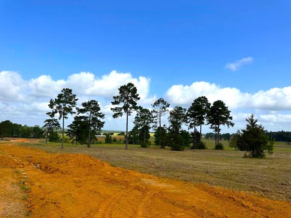 TBD Lakeland Loop Lot 85, Hillister, Texas image 5