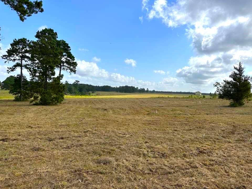 TBD Lakeland Loop Lot 85, Hillister, Texas image 8