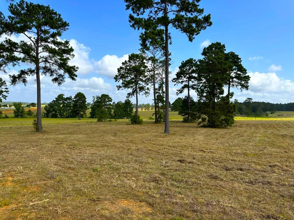 TBD Lakeland Loop Lot 85, Hillister, Texas image 11