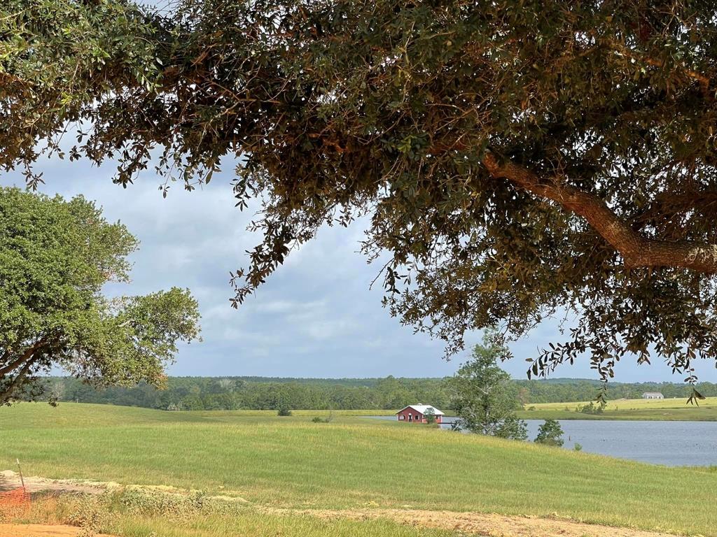 TBD Lakeland Loop Lot 85, Hillister, Texas image 3