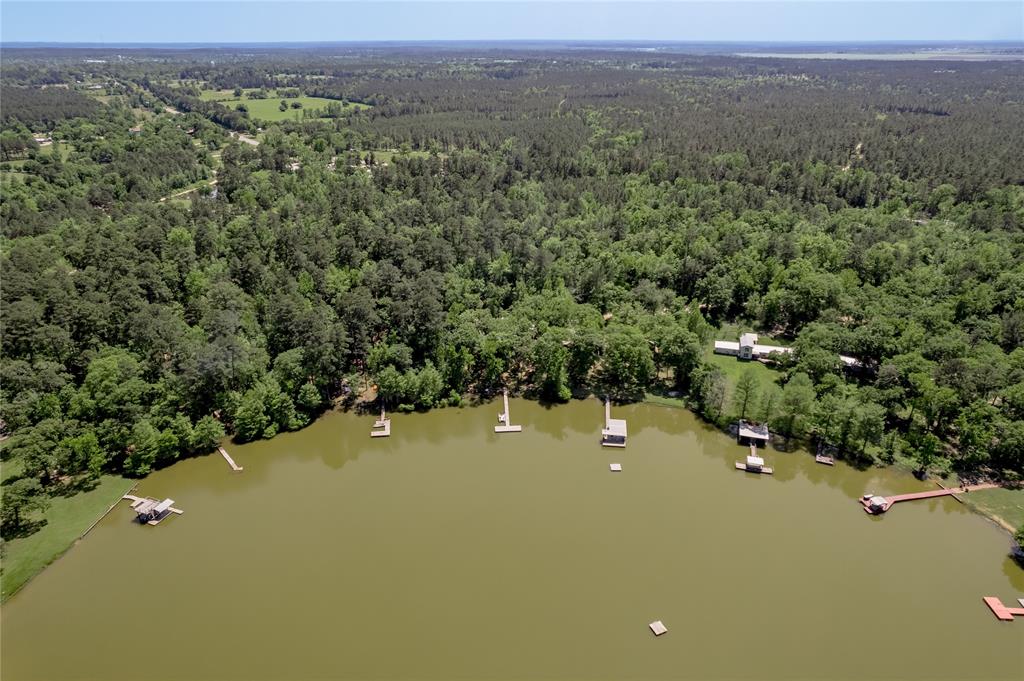 250 Dogwood Forest Trail, Trinity, Texas image 48