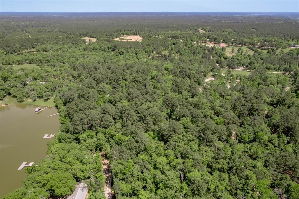250 Dogwood Forest Trail, Trinity, Texas image 46