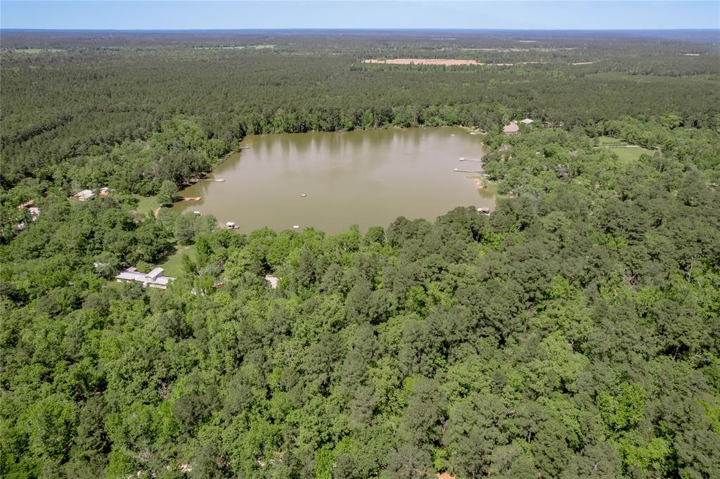 250 Dogwood Forest Trail, Trinity, Texas image 45